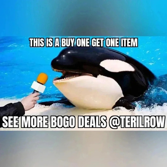 Apt 9 Petite Women's Pale Pink Pull On Stretch CAPRIS - Picture 3 of 10